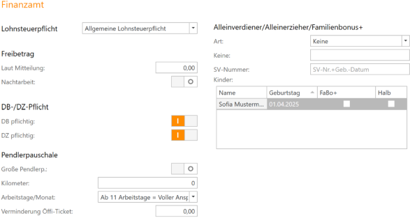 Einstellungen für Finanzamt cpu-informatik.at